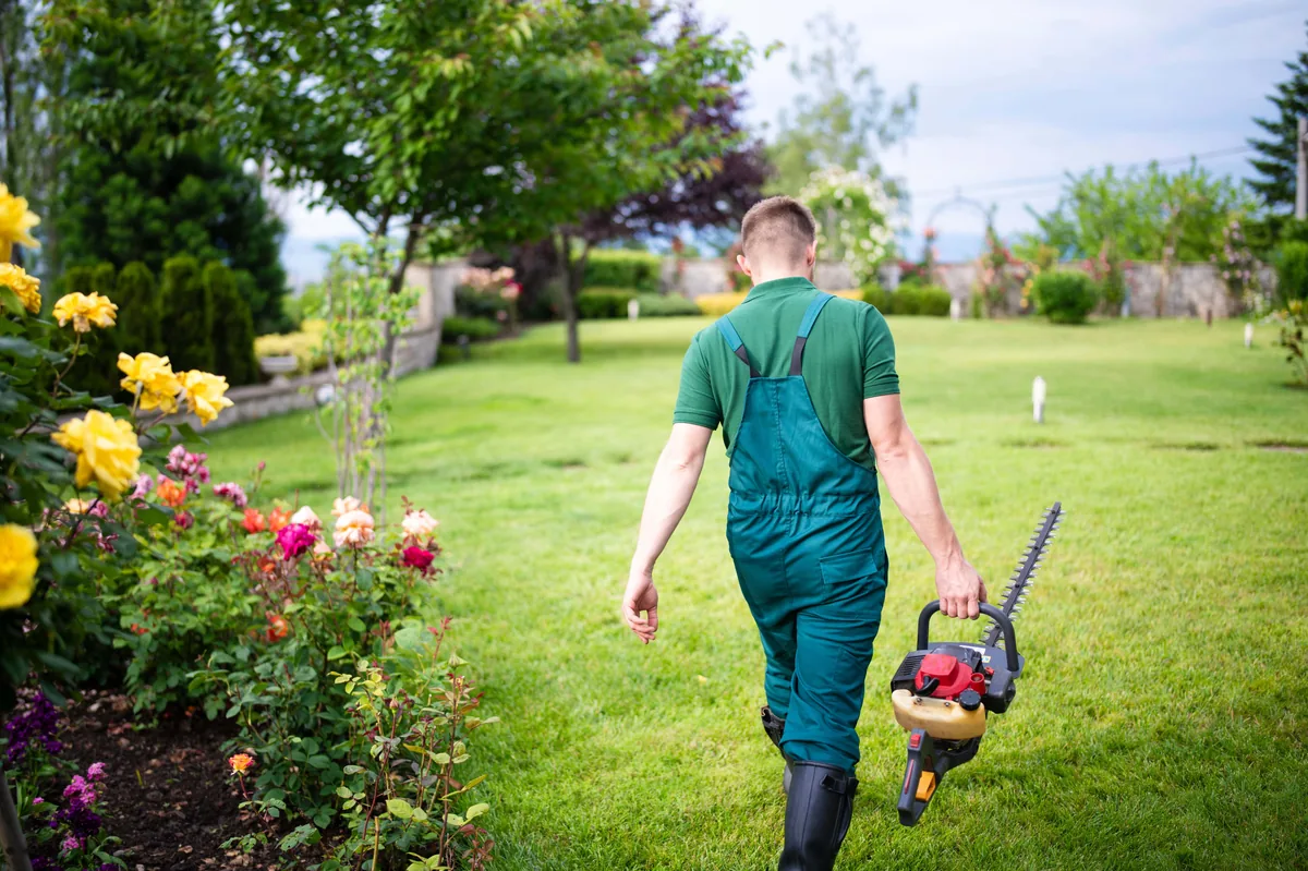 Heckenschnitt Platzhalter